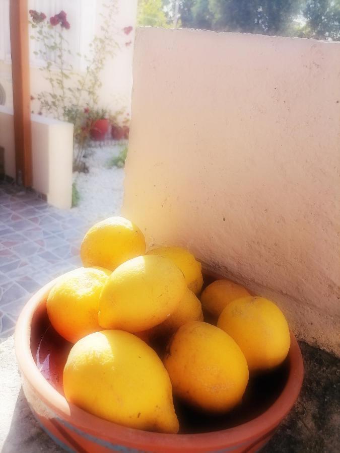 カリヴェス Lemon Tree Houseヴィラ エクステリア 写真